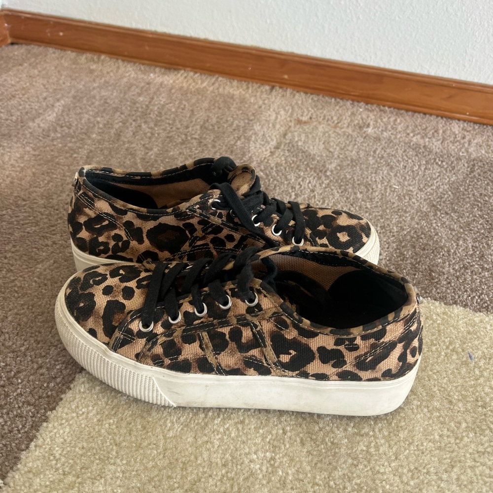 Steve Madden Leopard Print Sneakers